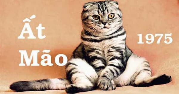 Tổng quan thông tin về tuổi 1975 cho những ai muốn biết 1 Tính cách và Đặc điểm người sinh năm 1975